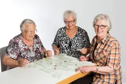 NEUROvitalis Stadtplanspiel