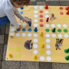 Outdoor Ludo Tiere, Bodenteppich