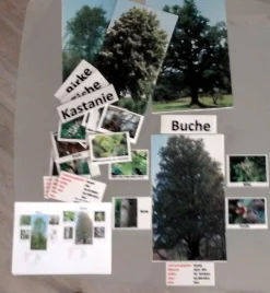 Outdoor-Set Laubbäume