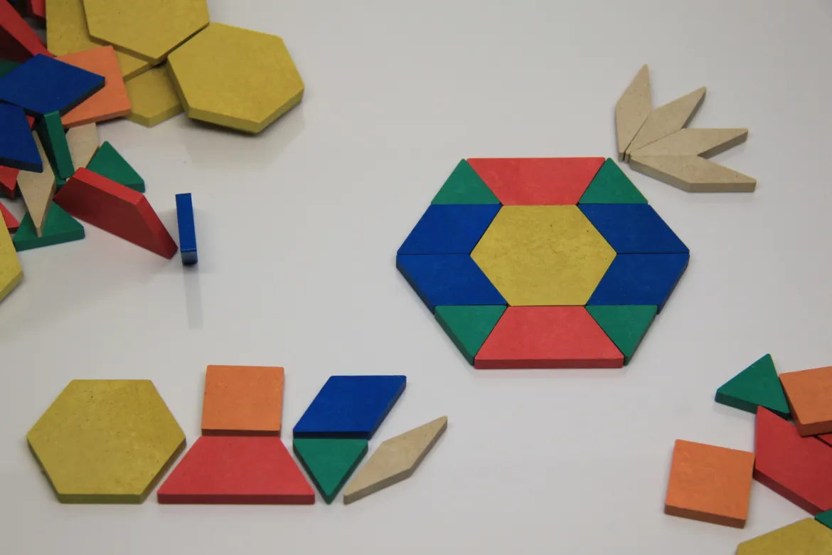 Pattern Blocks, 250 Teile aus RE-Wood® im Karton