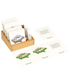 Plantcell Nomenclature, EN