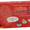 Präpo-Detektiv 1, Sprachförderspiel, ab 5 Jahre