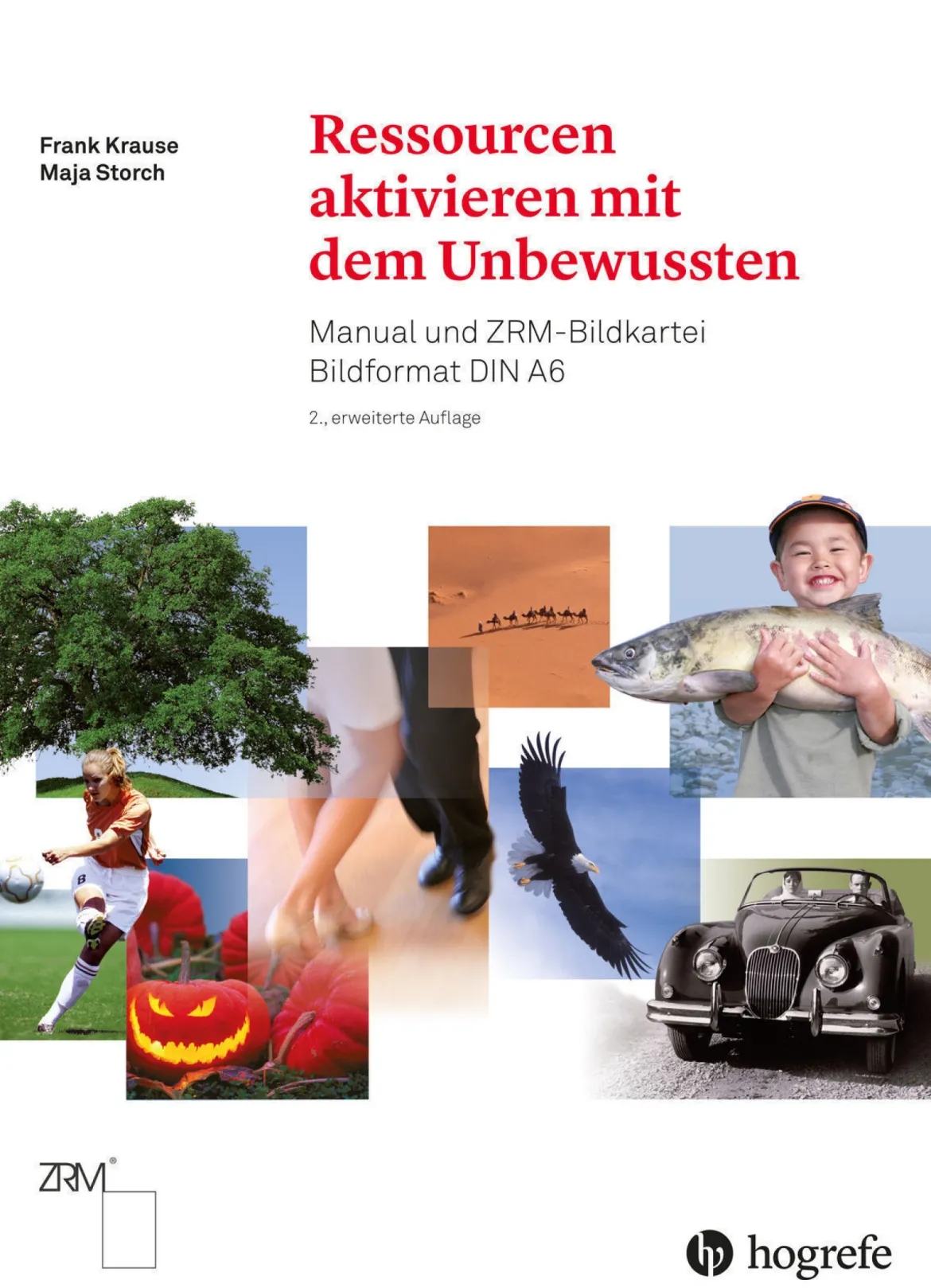 Ressourcen aktivieren mit dem Unbewussten, Manual und ZRM-Bildkartei Bildformat DIN A6