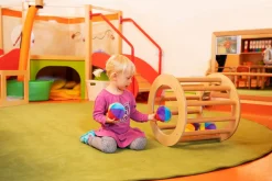 Rollrad, ab 2 Jahre