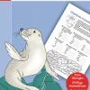 Sattelfest in Mathe, 5. Klasse