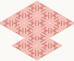 SCHUBITRIX Nomen Singular-Plural, 1.-2. Klasse