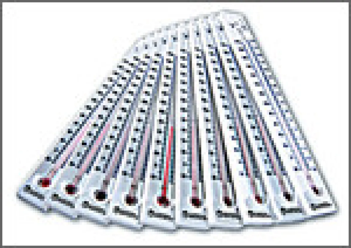 Siedepunkt-Thermometer aus Kunststoff, 10 Stück, je 17,5 cm