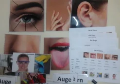 5 Sinne + Auge