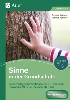 Sinne in der Grundschule