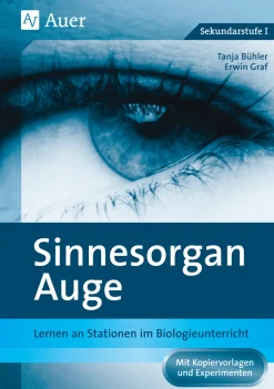 Sinnesorgan Auge