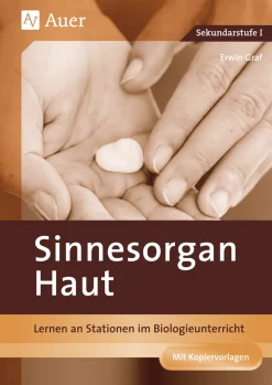 Sinnesorgan Haut