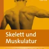 Skelett und Muskulatur