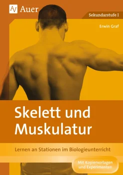 Skelett und Muskulatur