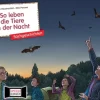So leben die Tiere in der Nacht. Kamishibai Bildkartenset, 4-8 Jahre