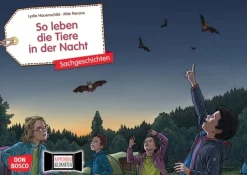 So leben die Tiere in der Nacht. Kamishibai Bildkartenset, 4-8 Jahre