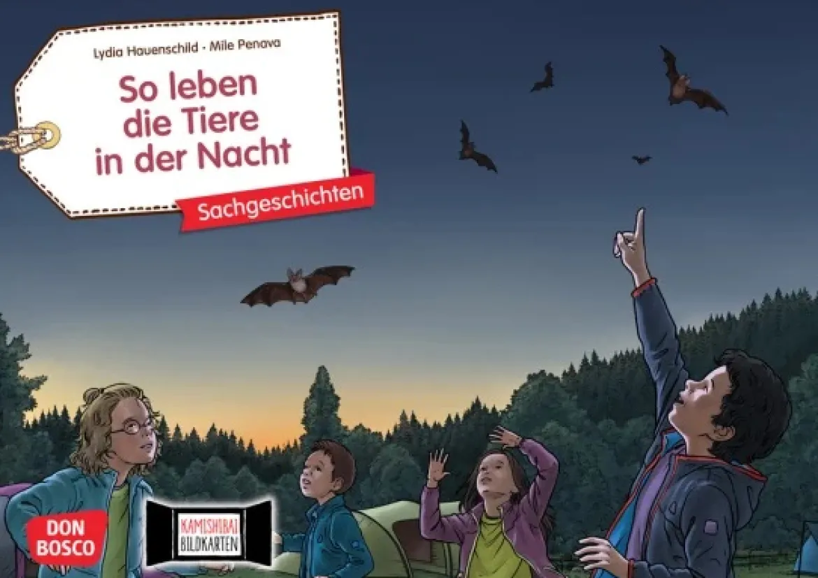 So leben die Tiere in der Nacht. Kamishibai Bildkartenset, 4-8 Jahre