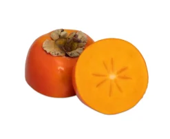 Sortierspiel Obst oder Gemüse - Quizzerkarten, 6-12 Jahre