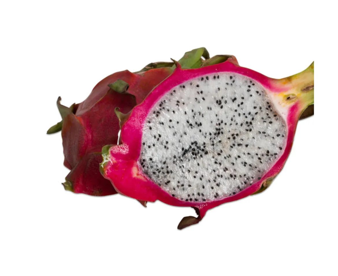 Sortierspiel Obst oder Gemüse - Quizzerkarten, 6-12 Jahre