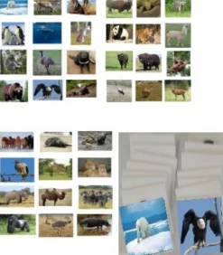 SpielMat Tiere, Sitz- und Spielmatte Outdoor inkl. Zubehör