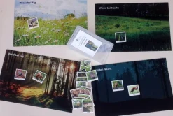 Spielteppiche Wald/Wiese bei Tag/Nacht