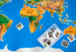 Spielteppich Landschaften der Erde mit 36 Tierkarten