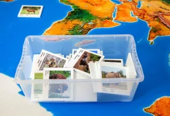 Spielteppich Landschaften der Erde mit 36 Tierkarten