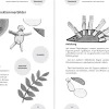 Spiel- und Sortiertablett-Set 4-tlg.