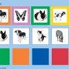 SteckLÜK Kindergarten 6 - Zuordnungen, 3-4 Jahre
