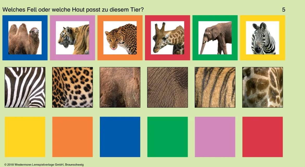 SteckLÜK Vorschule - Logik 2, 5-6 Jahre