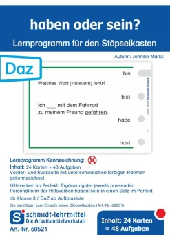 Stöpselkarten 'haben oder sein?'