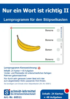 Stöpselkarten 'Nur ein Wort ist richtig II' Klasse 1