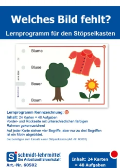 Stöpselkarten 'Welches Bild fehlt?'