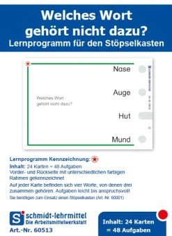 Stöpselkarten 'Welches Wort gehört nicht dazu' ab Klasse 1