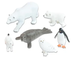 Tiere - Arktische Tiere, 6 Teile