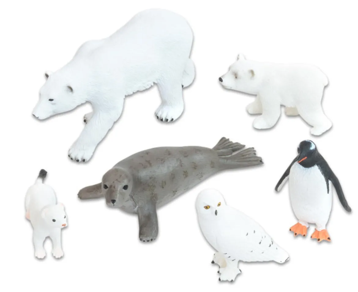 Tiere - Arktische Tiere, 6 Teile