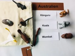 Tiere überall auf unserer Erde, Lernmaterial