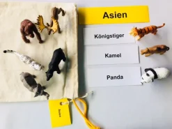 Tiere überall auf unserer Erde, Lernmaterial