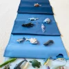 Tiere der Ozeane, Forscher-Set