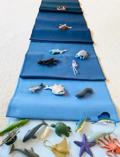 Tiere der Ozeane, Forscher-Set
