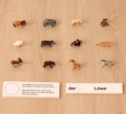 Tiere im Zoo, Lesematerial, ab 1. Klasse