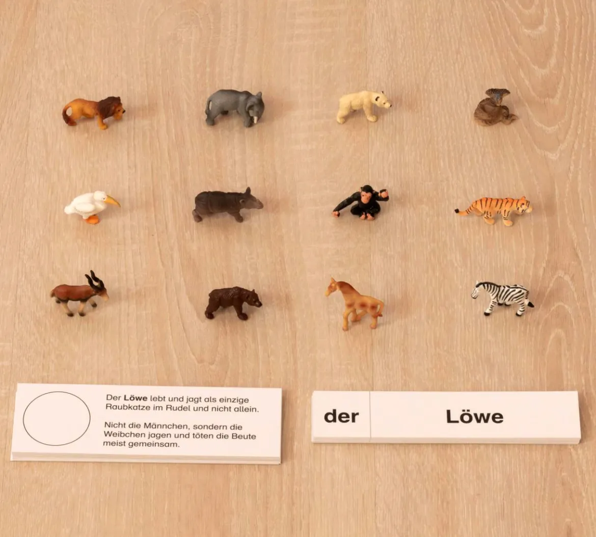 Tiere im Zoo, Lesematerial, ab 1. Klasse