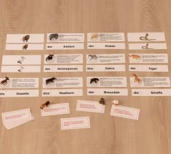 Tiere im Zoo, Lesematerial, ab 1. Klasse