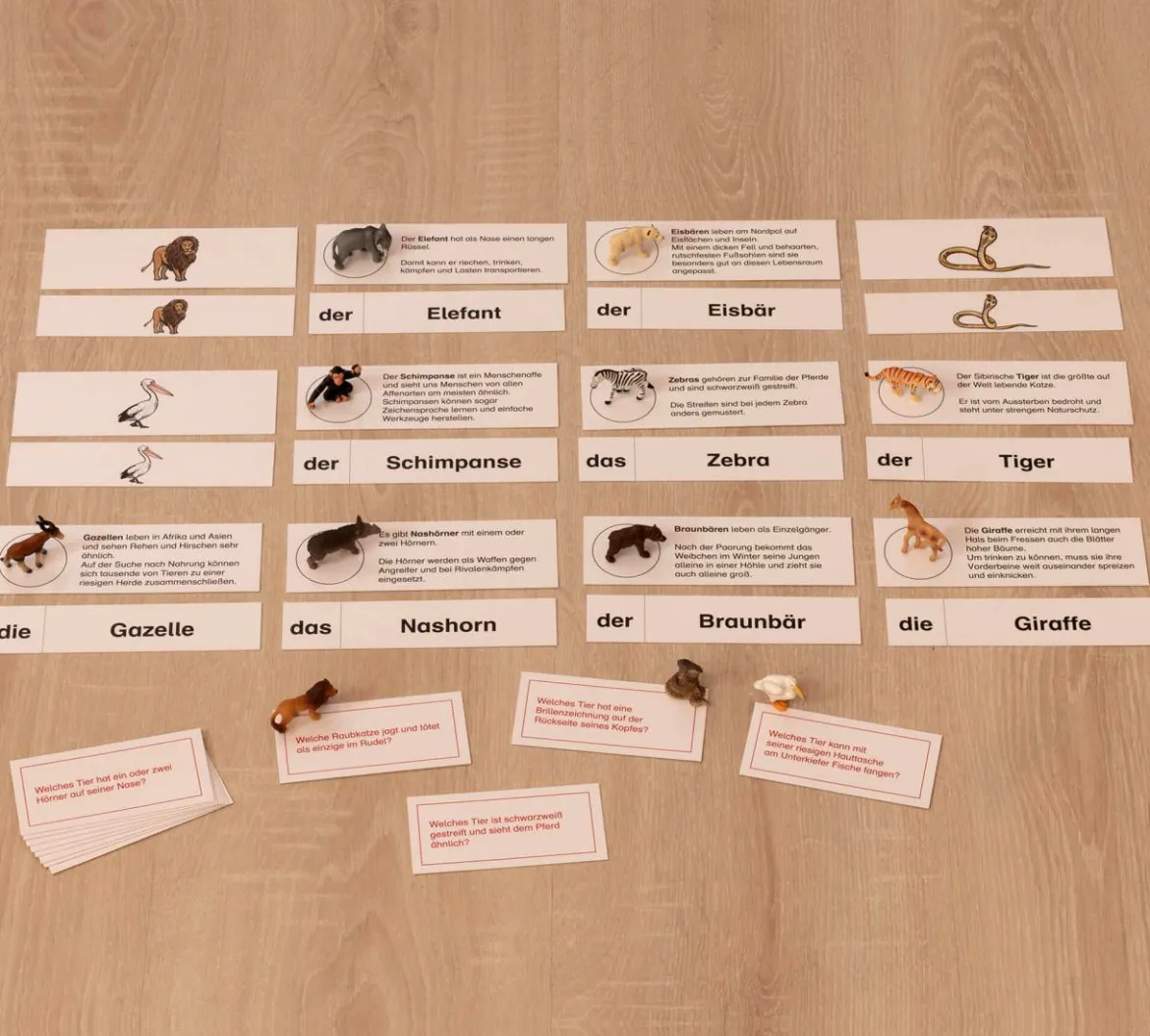 Tiere im Zoo, Lesematerial, ab 1. Klasse