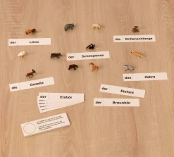 Tiere im Zoo, Lesematerial, ab 1. Klasse