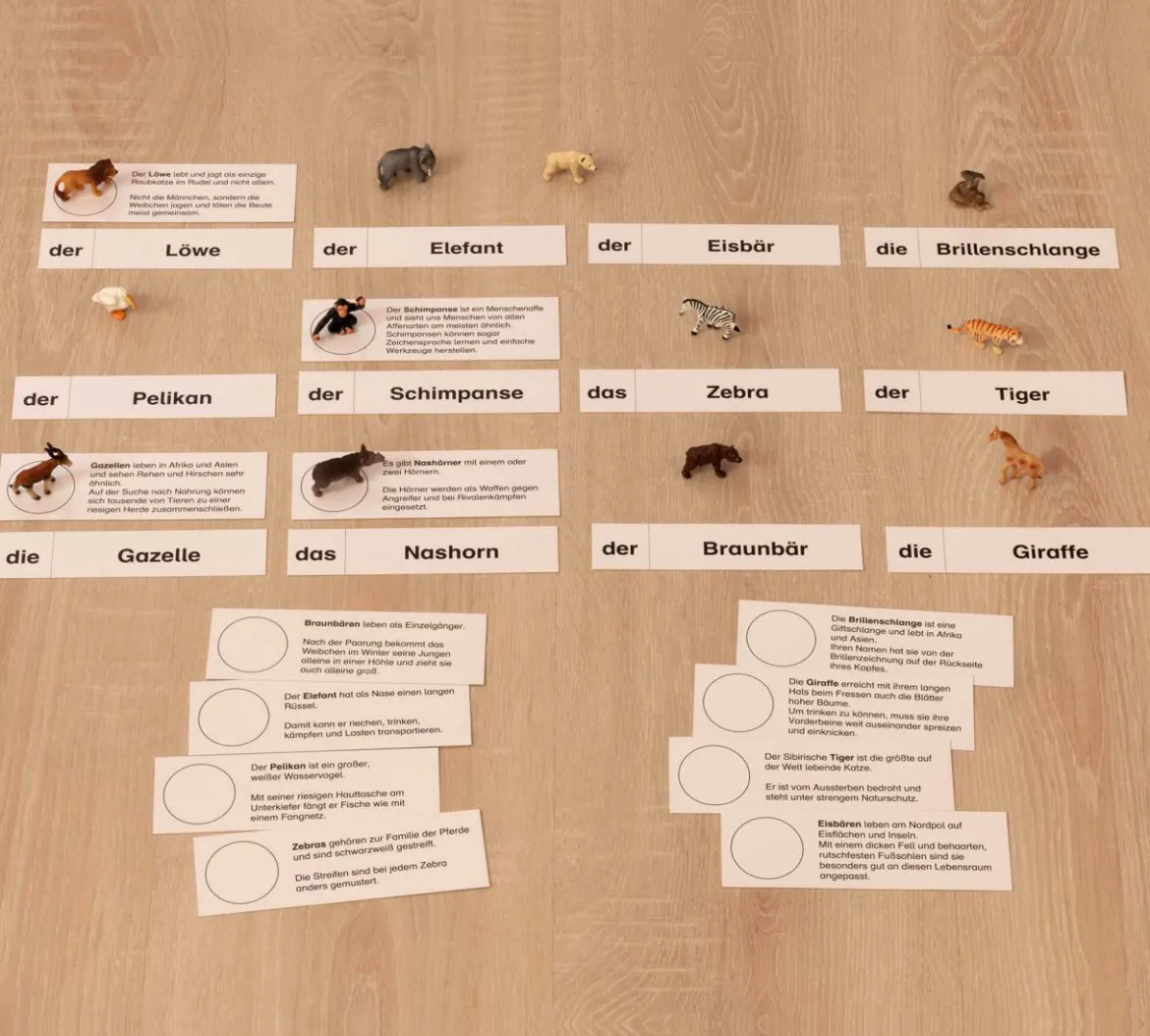 Tiere im Zoo, Lesematerial, ab 1. Klasse