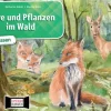 Tiere und Pflanzen im Wald. Kamishibai Bildkartenset, 6-10 Jahre