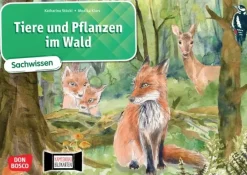 Tiere und Pflanzen im Wald. Kamishibai Bildkartenset, 6-10 Jahre