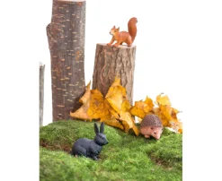 Tiere - Waldtiere, 10 Teile