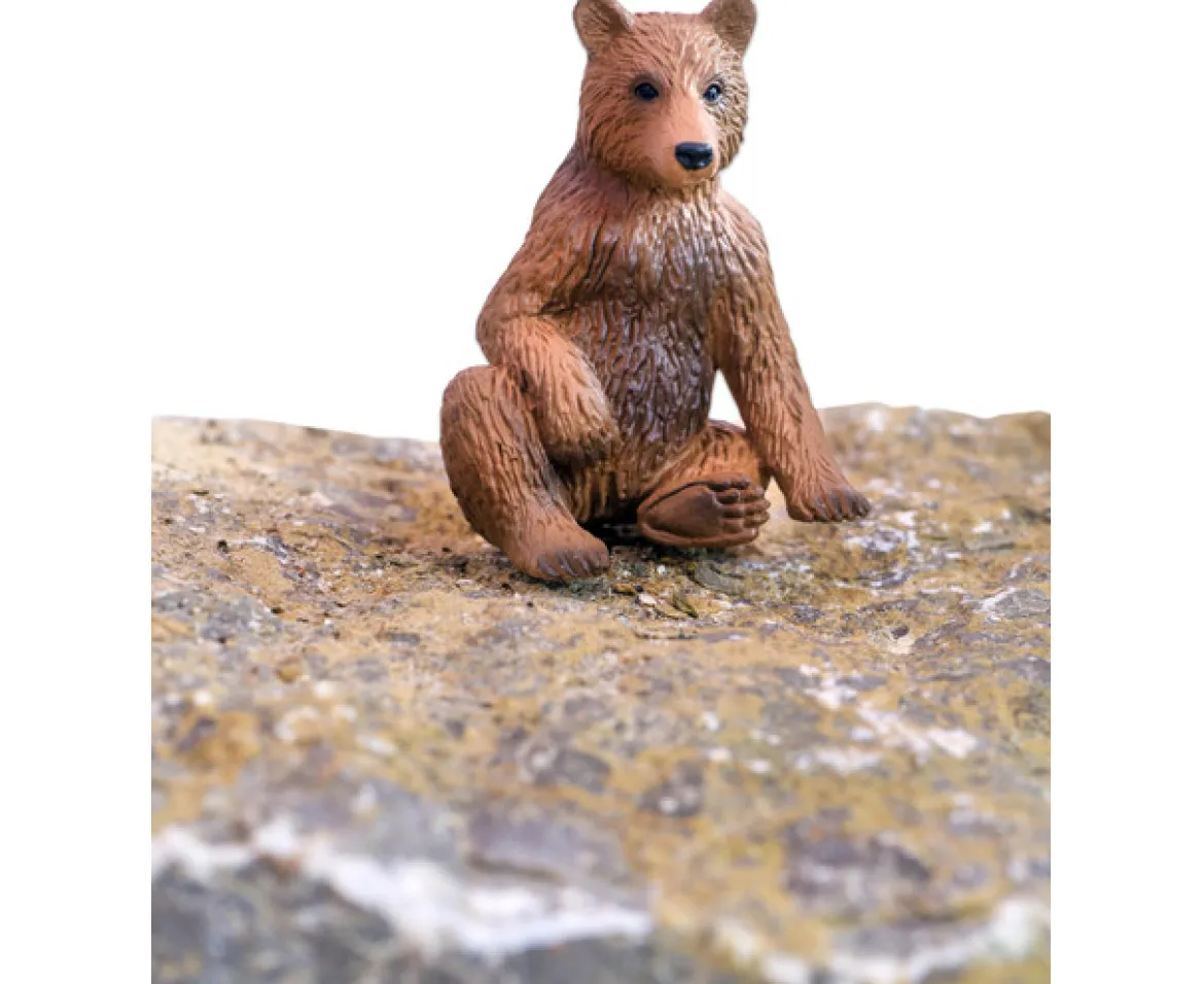 Tiere - Waldtiere, 10 Teile