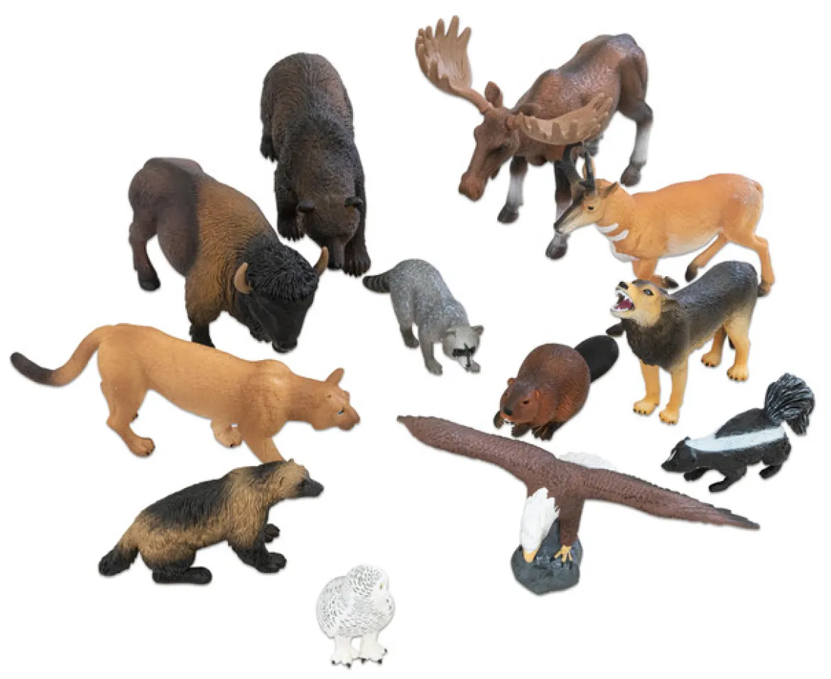 Tierfiguren - Nordamerikanische Tiere, 12 Teile in Kunststoff-Box, 2-7 Jahre